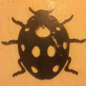 Coccinelle